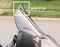 HONDA GL1800 GOLD WING F6B 2013-2018 REPLACEMENT WINDSHIELD